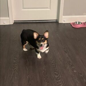 Meet your Posher, Draven